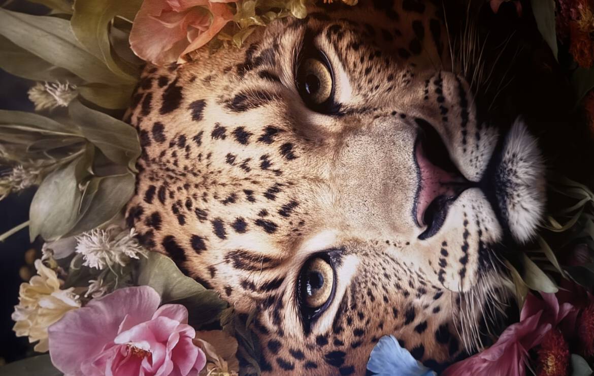 Der Weg meines Herzen